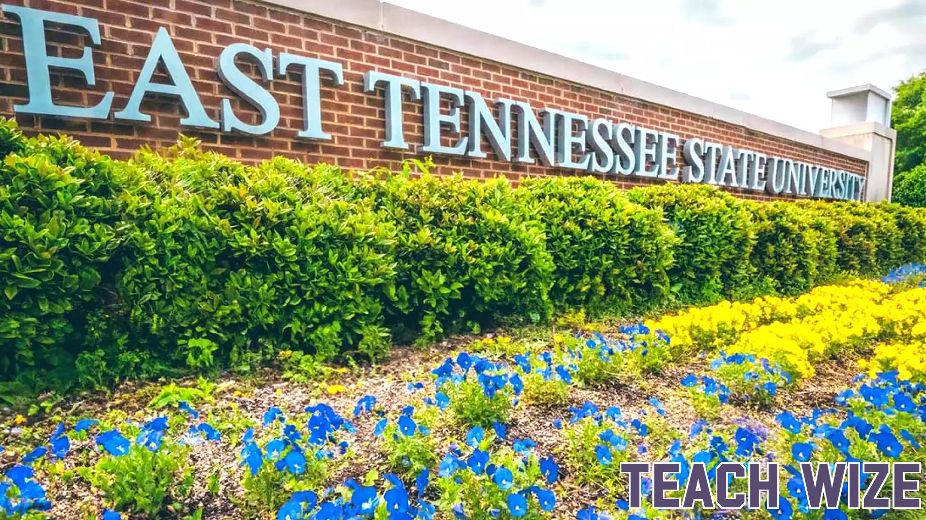 ETSU shines at statewide health education conference