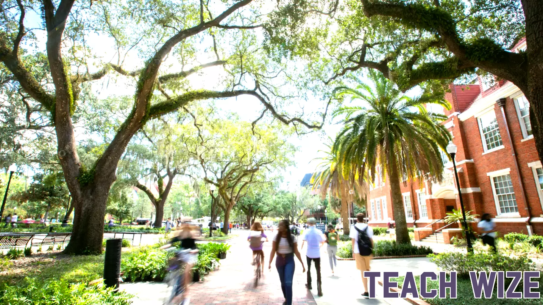 Legal Challenge to Controversial Higher Education Law