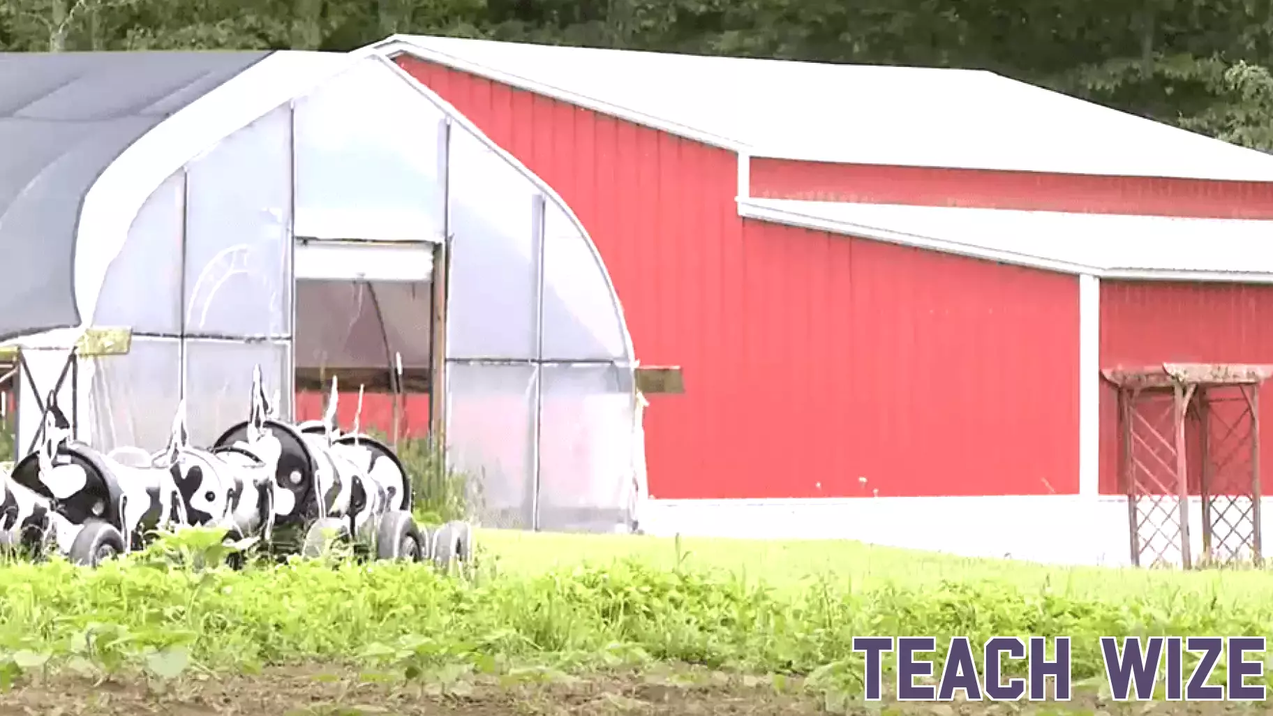 New Agricultural Business Program Launches at Putnam County High School