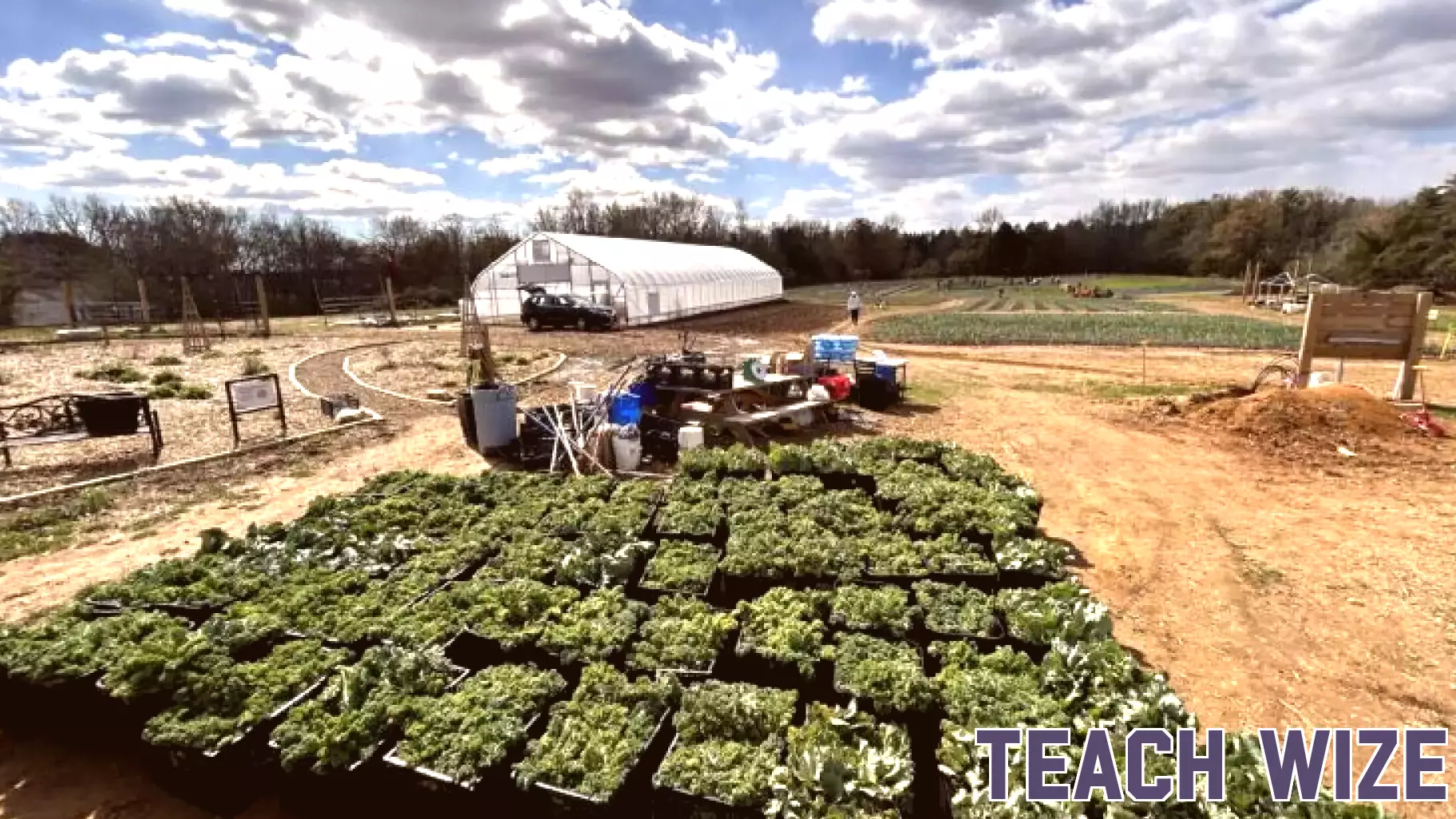 PHOTOS:  Cold can’t stop massive harvest at Rappahannock Education Farm