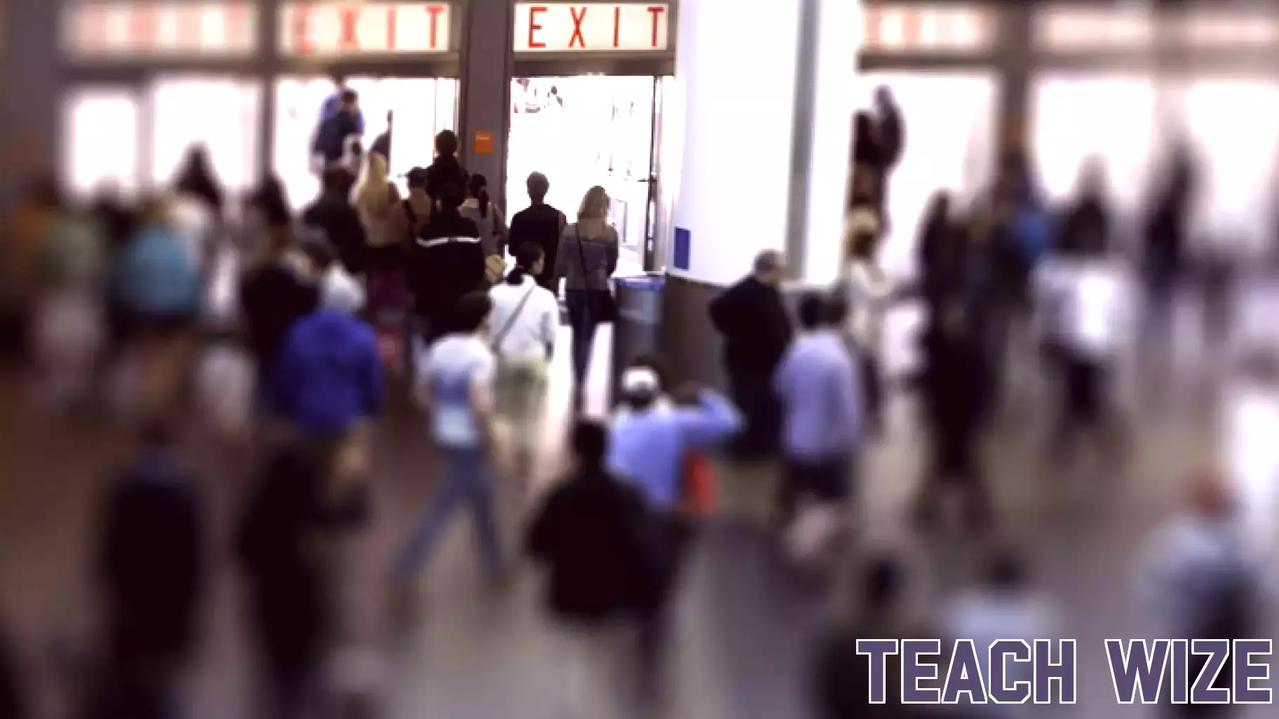 Seasoned Scholars Urge Early Career Academics to Consider Alternative Career Paths