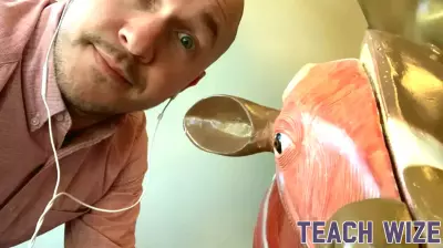 A Teacher's Journey: Embracing Inclusion and Trusting Instincts