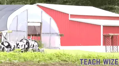 New Agricultural Business Program Launches at Putnam County High School