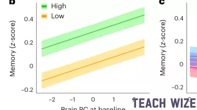 New Insights Challenge the Link Between Education and Cognitive Aging