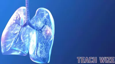 Olympus Strengthens Collaboration with American Lung Association for Lung Nodule Education