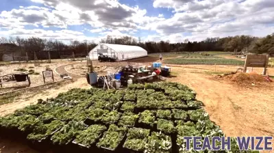 PHOTOS:  Cold can’t stop massive harvest at Rappahannock Education Farm